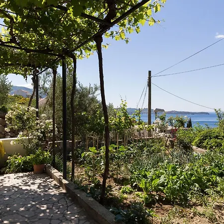 Olive - One Bedroom With Terrace And Partial Sea View - Popolica 50 Appartamento