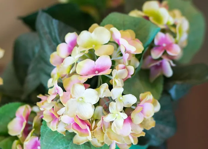 Apartamento Olive - One Bedroom With Terrace And Partial Sea View - Popolica 50 Mlini