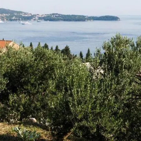 公寓 Olive - One Bedroom With Terrace And Partial Sea View - Popolica 50 *