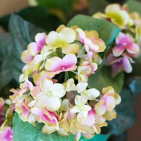 아파트 Olive - One Bedroom With Terrace And Partial Sea View - Popolica 50 믈리니