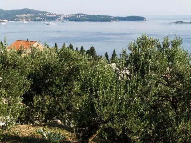 דירה Olive - One Bedroom With Terrace And Partial Sea View - Popolica 50 *